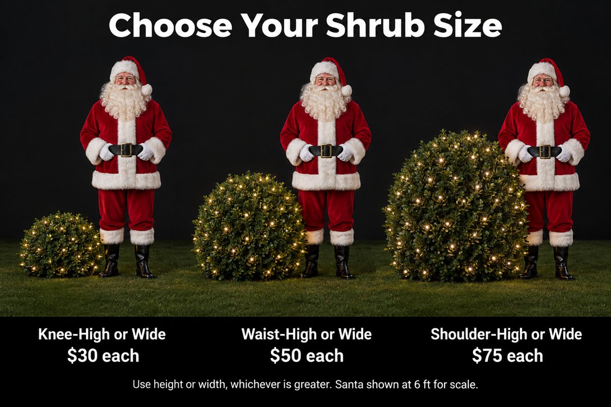 Tree & Shrub Lighting